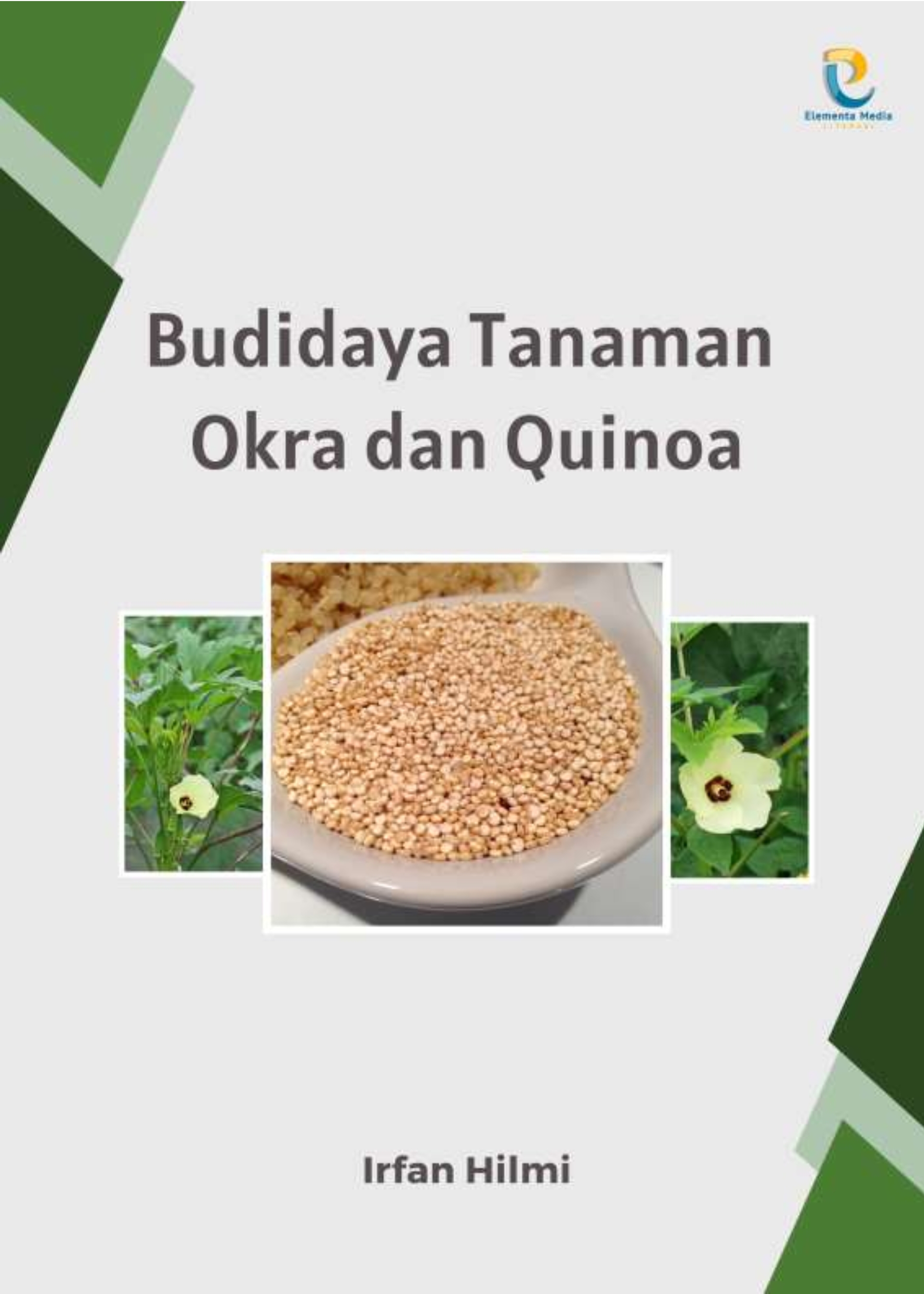 Budidaya Tanaman Okra dan Quinoa